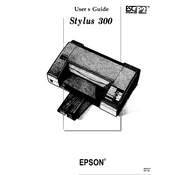 Epson Stylus 300 manual cover