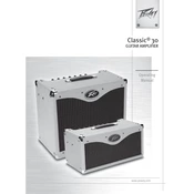 Peavey Classic 30 Amplifier