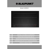 Blaupunkt 5IX99351 manual cover