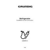 Grundig VitaminZone GKNEMI573 Refrigerator manual cover