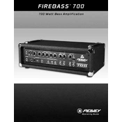 Peavey Firebass 700 Amplifier manual cover