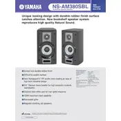 Yamaha NS-AM380SBL Speaker manual cover