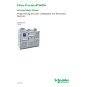 Schneider Electric Altivar Process ATV6000 Variable Speed Drive manual cover