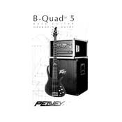 Peavey B-Quad 5 Guitar manual cover