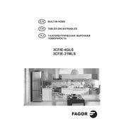 Fagor 3CFIE-4GLSN Hob manual cover