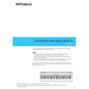 Roland GO PIANO-ALEXA BUILT-IN