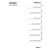 Roland DP-603 manual cover