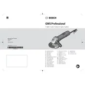 Bosch 0 601 388 164 Grinder