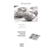 Brandt BPG6210B Hob manual cover