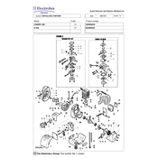 McCulloch Cabrio 246