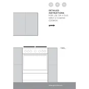 Gorenje GI6121WH Cooker manual cover