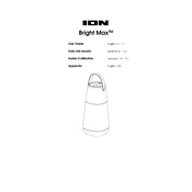 ION Bright Max
