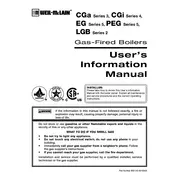 Weil-McLain CGa Series 3 Boiler manual cover