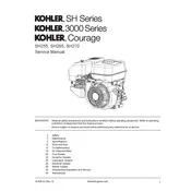 Kohler SH255 Engine