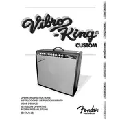 Fender Vibro-King Custom 0811000000 120V 60Hz USA Amplifier manual cover