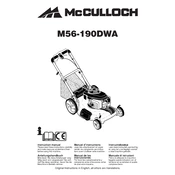 McCulloch M56-190DWA
