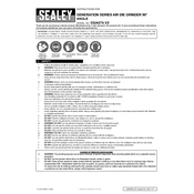 Sealey GSA674.V2 Grinder manual cover