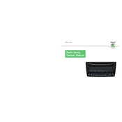 Škoda Fabia Radio Swing 2013 Car manual cover