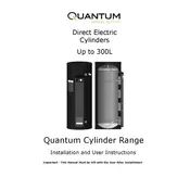 Dimplex Quantum QWCd125-580 Cylinder