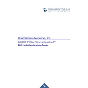 Grandstream GXV3350 IP Phone