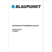 Blaupunkt 5IG66250 manual cover