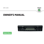 Škoda Yeti Radio Blues 2016 Car manual cover