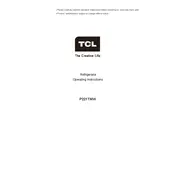 TCL P221TMW Refrigerator manual cover