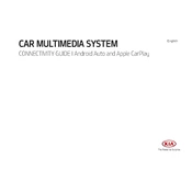 Kia Cadenza Car Multimedia System 2017 Sedan manual cover