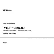 Yamaha NS-WSW120 Projector