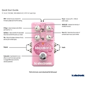 TC Electronic ELECTRONIC BRAINWAVES PITCH SHIFTER manual cover