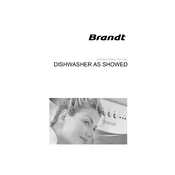 Brandt DFS500WE1 Dishwasher manual cover