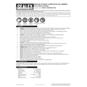 Sealey SA613.V2 Hammer manual cover