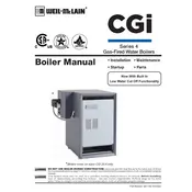 Weil-McLain CGi Series 4 Boiler manual cover