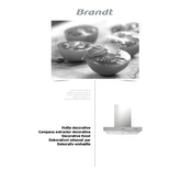 Brandt BHB6601X Hood manual cover