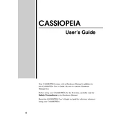 Casio Cassiopeia BE-300 Pocket PC