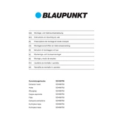 Blaupunkt 5DH99750 manual cover