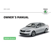 Škoda Octavia 2016 Car manual cover