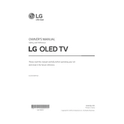 LG OLED65WXPUA TV