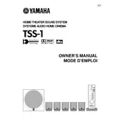 Yamaha TSS-1 Sound System manual cover