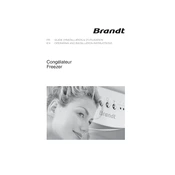 Brandt BFU142DSW Refrigerator manual cover