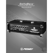 Peavey DeltaBass Amplifier manual cover