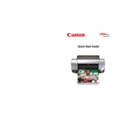 Canon Color Bubble Jet i9900 Series