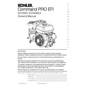 Kohler ECH440LE Engine manual cover