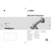 Bosch 0 601 9H9 003 Grinder manual cover