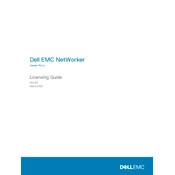 Dell NetWorker 19.2 Software
