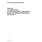 McCulloch ProMac PM655 HW