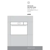 Gorenje HomeCHEF BCS599S22X Oven manual cover