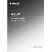 Yamaha A-S801 Amplifier