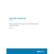 Dell NetWorker 19.2 Software