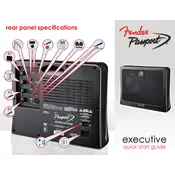 Fender Passport Executive 0694000900 120V 60Hz PA System manual cover